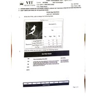 Web Technologies